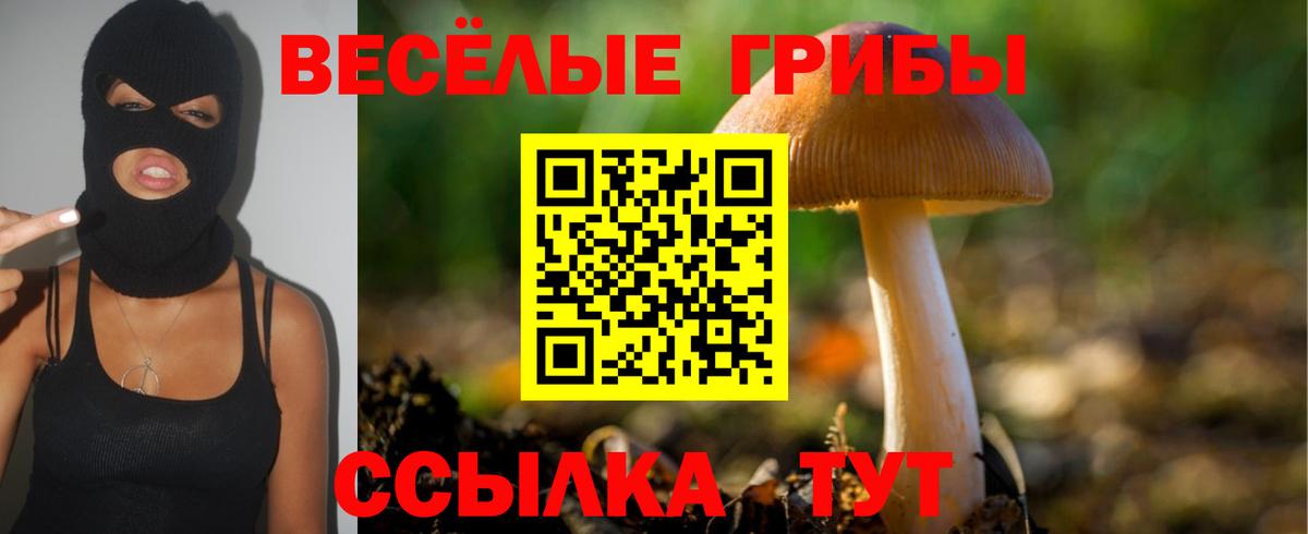 Псилоцибиновые грибы прущие грибы  Вход с VPN  Великие Луки 